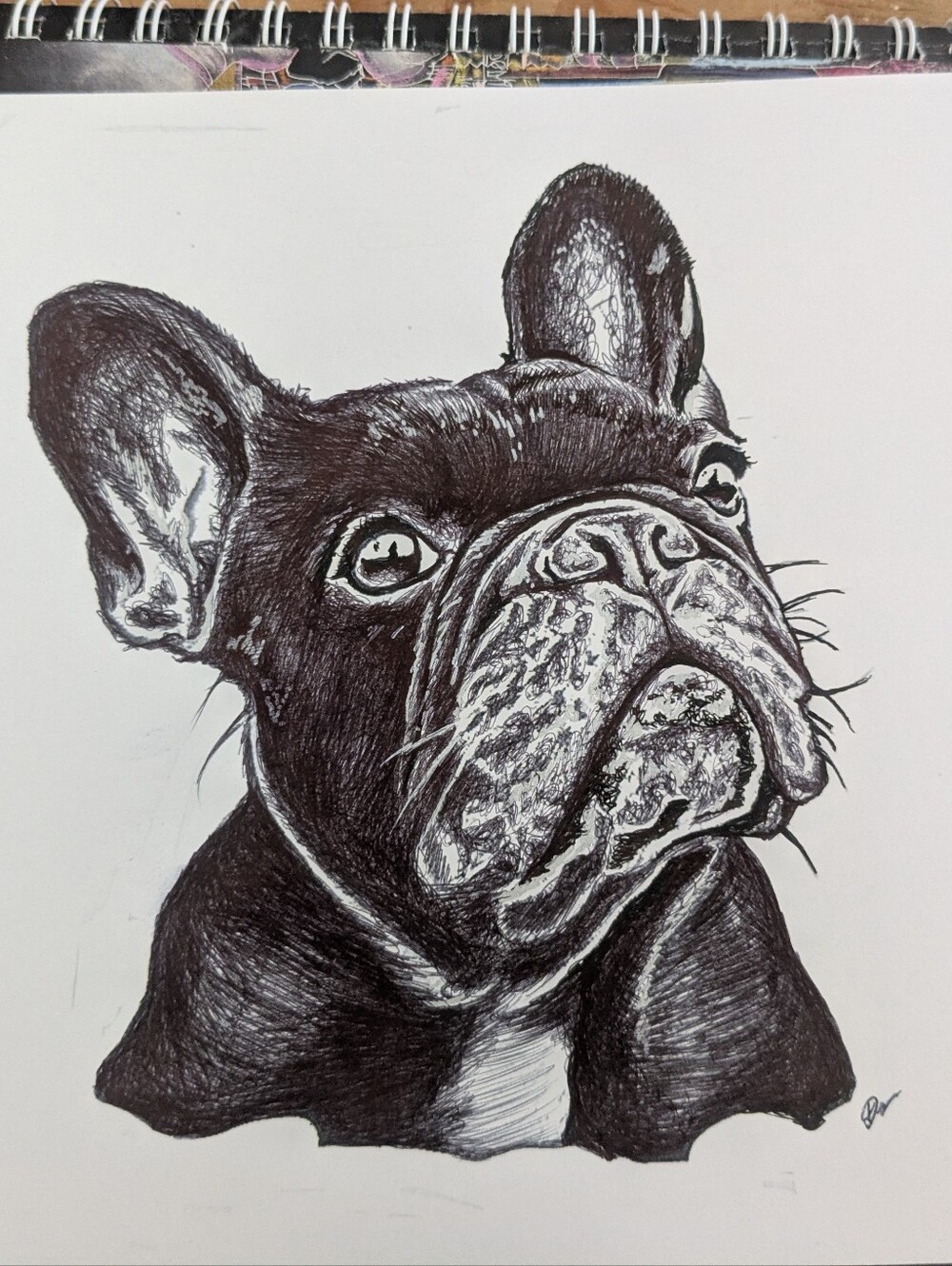 Black French Bulldog Illustration Pet Art Original Drawing
